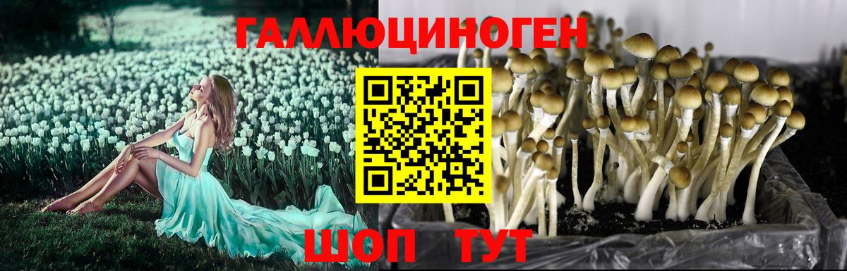 Псилоцибиновые грибы Cubensis  Псилоцибиновые грибы мухоморы  Вход с VPN  Моздок 
